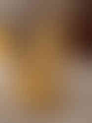 Brass Pagadi Ganesha Statue 7.5