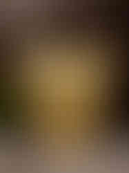 Brass Wall Mount Kalasam Idol 9.5"