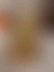 Brass Fine Art Ganesha Sitting On Oval Base Statue 5.5″