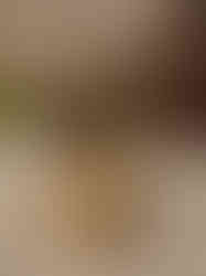 Brass Gajalakshmi Diya Big- 7″