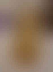 Brass Fine Art Ganesha Statue Sitting On Lotus Base 6″