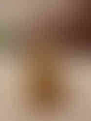 Brass Fine Art Ganesha Idol Sitting On Lotus Base