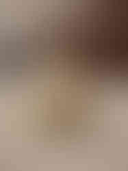 Brass Horse Idol 2.5"