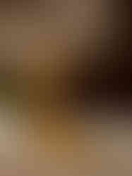 Brass Leaf Bracket Wall Mount 11.5"