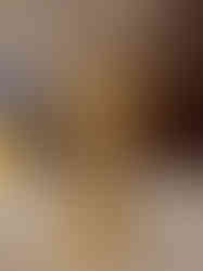 Brass Lord Perumal Idol