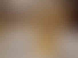 Brass Annam Holding Diya