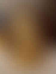 Brass Superfine Ganesha Statue Sitting On Lotus Base