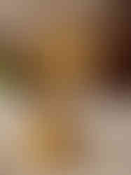 Brass Standing Five Face Hanuman Idol