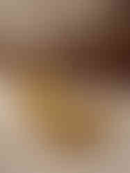 Brass surya bhagavan Idol For Pooja 6"