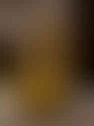 Brass Radha Krishna Uruli 20''