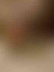 Brass Stone Bullockcart 3.5''