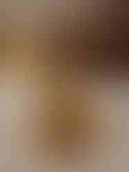 Brass Thiruvalluvar Idol 4″