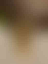 Brass Laughing Buddha With Balck Finish