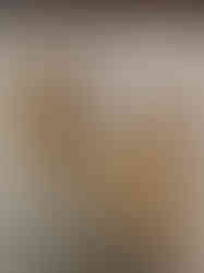 Brass Parrot Leaves Wall Mount