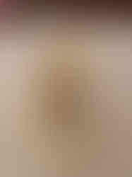 Brass Five Face Annam Diya Hanging 21″