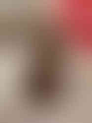 Panchaloha Ganesha Idol Sitting On Lotus Base 2″