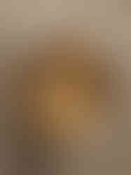 Brass Designer Bowl 2"