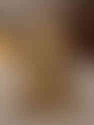 Brass Ganesha Idol 8"