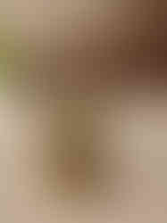 Brass Fine art Ganesha Idol on Lotus Base