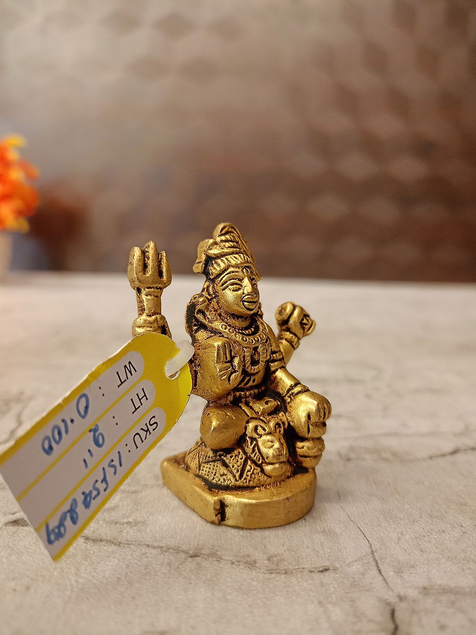 Brass Shiva Idol