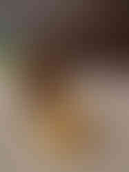 Brass Gajalakshmi Diya