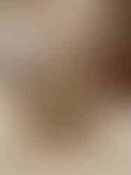 Brass Fine art Vishnu Lakshmi idol