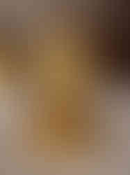 Brass Ganesha on Lotus 10''