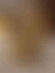 Brass Ganesha Idol 8"