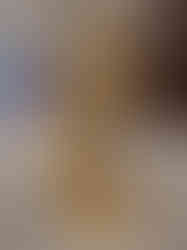 Brass Murugan Peacock Idol