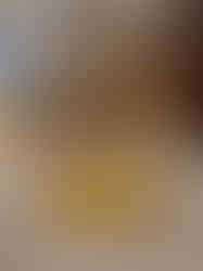 Brass Uruli Ganesha – 8″