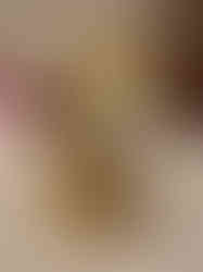 Brass Fine art Lakshmi Lotus idol