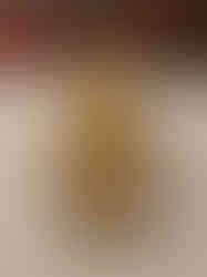 Brass Chair Ganesha Idol 5"