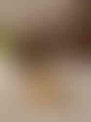 Brass Gajalakshmi Diya Big- 7″