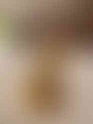 Brass Fine art Lotus Lakshmi idol