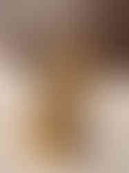 Pure Brass Lakshmi Idol