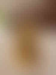 Brass Fine art Lotus Lakshmi idol