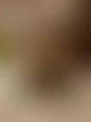 Brass Uruli With Bells 5"