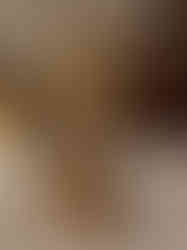 Brass Stone Radha Krishna Idol 11.5"