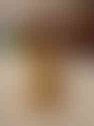 Brass Lakshmi Narashimar Idol