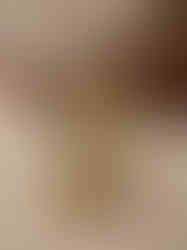 Brass Fine art Vishnu Lakshmi Idol