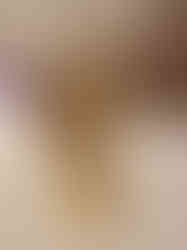 Brass RadhaKrishna Under Tree 3.5″