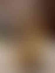 Brass Peacock 5 face Diya- 11′