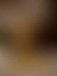 Brass Leaf Bracket Wall Mount 11.5"