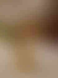 Brass Ganesha Sitting Under The Tree 5.5”