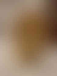 Brass Ganesha Idol 8"