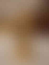 Brass New Design Ashoka Pillar- 5.5″