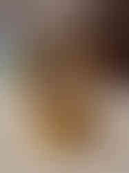 Brass Two Swan With Heart 5.5"