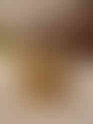 Brass Cow and Calf with Lakshmi Ganesha Idol 3"