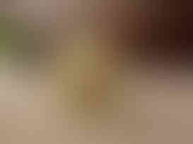 Brass Fine Art Elephant Statue For Home Decor And Gifts 3.5″