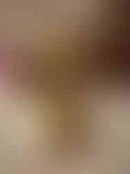 Brass Fine art Lakshmi on Lotus Base with Coin Pot